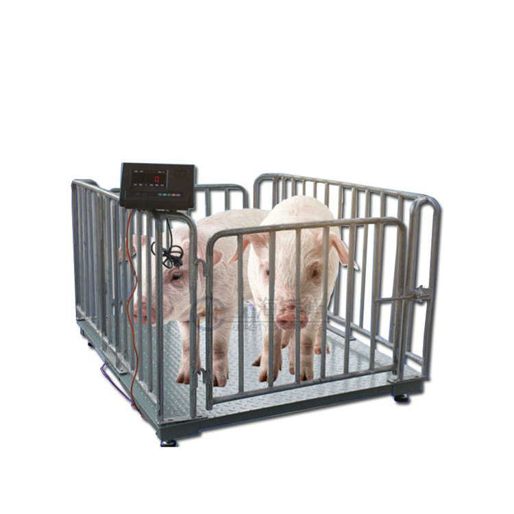 ���i����ӳӎ����ڣ��Ԅӳ��i��ӡ�����ӵس�